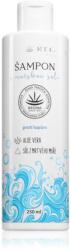 Regina Sea Salt korpásodás elleni sampon tengeri sóval 250 ml