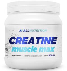 ALLNUTRITION Creatine Muscle Max, 250 g, AllNutrition (7169)