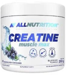 ALLNUTRITION Creatine Muscle Max, afine, 250 g, AllNutrition (7500)