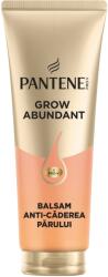 Pantene Grow Abundant hajhullás elleni balzsam vékony szálú hajra Pro-Vitamin Komplexszel 1500 mg és aminosavakkal az 5X erősebb hajért, növeli a haj ellenállását a töredezéssel szemben, 250 ml