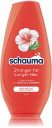 Schauma Long Hair hibiszkusszal és rozmaringgal hosszú és törékeny haj ápolására szolgáló balzsam, Veg6n balzsam, 250 ml