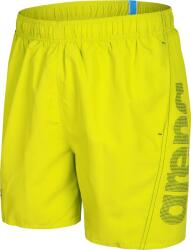 arena Fundamentals arena logo boxer m