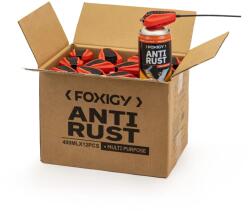 Foxigy Spray pentru îndepărtarea ruginii 400 ml, pachet de 12 bucăți Foxigy (400ml Anti-rust spray)
