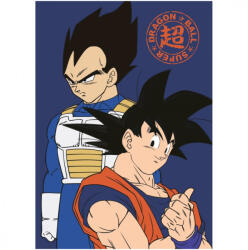 Dragon Ball Duo polár takaró 100x140cm