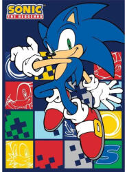 Sonic a sündisznó Blue Blur polár takaró 100x140cm (FML934150) - ostore