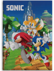 Sonic a sündisznó Speedy Dreams polár takaró 100x140cm (BRM013995) - ostore