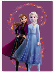 Jégvarázs Disney Jégvarázs Wind polár takaró 100x140cm (BRM014176)