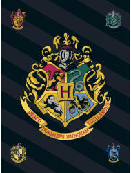 Harry Potter Black polár takaró 100x140cm