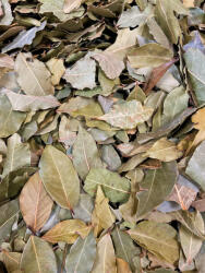 Paleolit Babérlevél egész 1kg Bay leaves whole (laurel) - vitalnatural