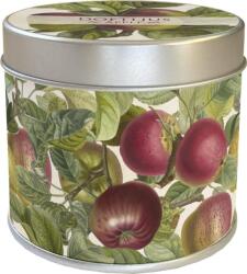  Illatos gyertya almafa alma illat (1234)