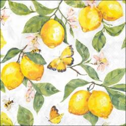Ambiente Citromos szalvéta - Fresh lemons (VR-13320365)