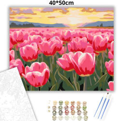  Aranyló tulipán tenger - számfestő készlet