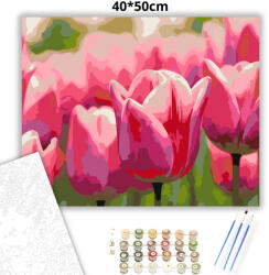  Pirkadati tulipánok - számfestő készlet - 40×50 cm (Keretre feszítve)