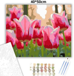  Üde tulipánszirmok - számfestő készlet - 40×50 cm (Keretre feszítve)