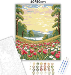  Ködös tulipánrét - számfestő készlet - 40×50 cm (Keretre feszítve)