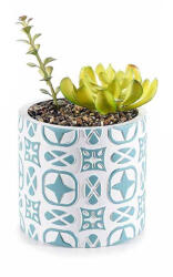 Decorer Planta suculenta artificiala in ghiveci ceramica albastra alba Ø 11 cm x 19 H (A61.00.36D)