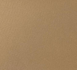 Plat Mocheta Evenimente Expo, Bej, Latime 200 cm, 610 gr mp (PlatBej-27) Covor