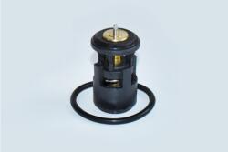ASAM 73343 termostat lichid racire