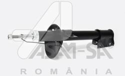 ASAM 30950 amortizor