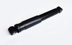 ASAM 55255 amortizor