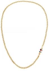 Tommy Hilfiger BRUCE CHAIN FW25 férfi nyaklánc THJ2790651 - THJ2790651 (THJ2790651)