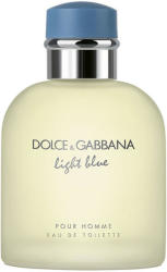 Dolce&Gabbana Light Blue pour Homme EDT 100 ml Tester Parfum