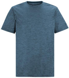 Regatta Fingal Edition férfi póló 5XL / kék/szürke