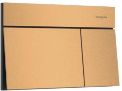 Hansgrohe Element E buton de spălare pentru WC || 66003140 (66003140)
