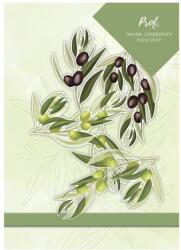 TopTimer Carte de buzunar pentru profesori TOPTIMER Prof copertă din hârtie foliată A/5 săptămânal 145x205 mm Olive 2026-2027 27P100J-00C (27P100J-00C)