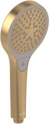 Villeroy & Boch Verve Showers duș de mână auriu TVS10900100076 (TVS10900100076)