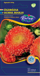 Rédei Kertimag Zrt Őszirózsa (Callistephus chinensis) Prinzess piros (1 g)