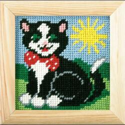 Orchidea Hímzés Kerettel. Az Első Hímzésem Cica (1497)