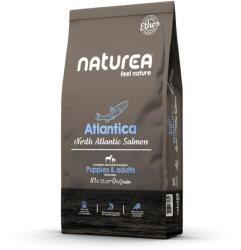 Naturea Ethos North Atlantica Lazacos Hipoallergén Kutyatáp 100g