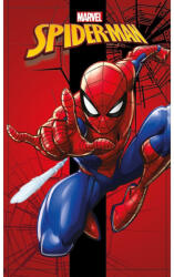  Pókember City Swing kéztörlő, arctörlő, törölköző 30x50cm (FML365952)