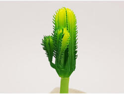  Kaktusz 12cm - csinaldmagadshop