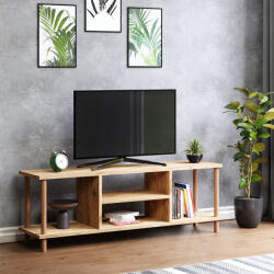 [en. casa] Comoda TV Ærøskøbing cu 2 rafturi, 120 x 29 x 43 cm, aspect lemn (81278732)