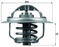 MAHLE TX 111 87D termostat lichid racire
