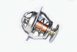ASAM 73367 termostat lichid racire