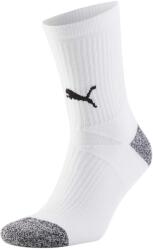 Puma teamwear Чорапи teamLIGA