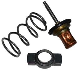 ASAM 32064 termostat lichid racire