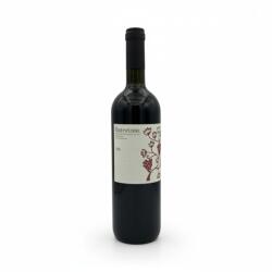 Montevetrano Vin Rosu Montevetrano 2009 Colli di Salerno Rosso IGT 14%, 0.75L