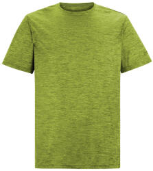 Regatta Fingal Edition férfi póló L / zöld