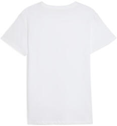 PUMA Everyday Crew Neck Tee 2P férfi póló L / fehér