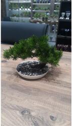 Iris E5778 BONSAI decor cu flori artificiale într-un vas 25x18cm (E5778)