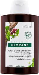 Klorane Quinine Șampon împotriva căderii părului, 200 ml