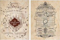 Pyramid Set mini-postere Pyramid Movies: Harry Potter - Map And School List (PPB35442)