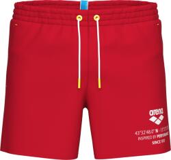 arena Graphic beach short l