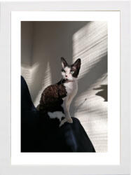 Marek & Darek Képkeret Felakasztható És Felállítható 15X21 Fa Fehér Színben (5904996596606)