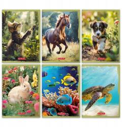 Herlitz A5 16k kockás füzet Animals Herlitz (9583048)