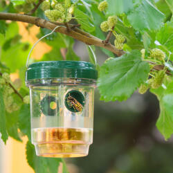  Szolár rovarcsapda - felakasztható (GL11383)
